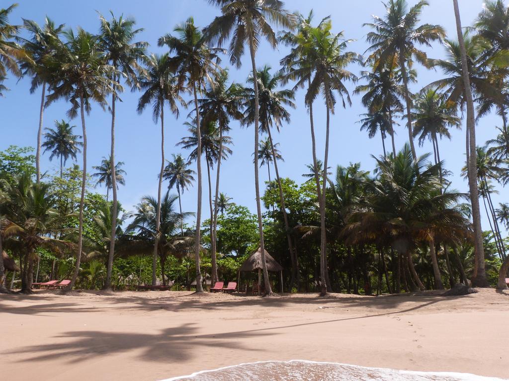 Ankobra Beach Resort Axim Eksteriør bilde