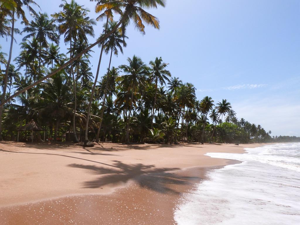 Ankobra Beach Resort Axim Eksteriør bilde