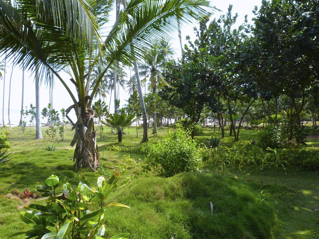 Ankobra Beach Resort Axim Eksteriør bilde