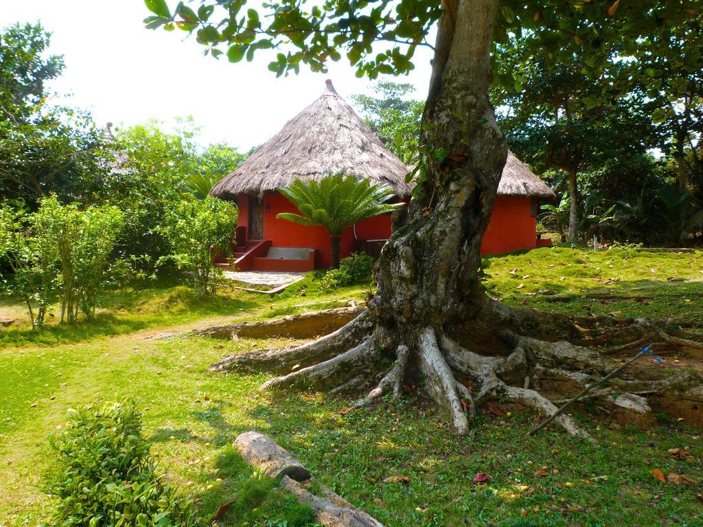 Ankobra Beach Resort Axim Rom bilde